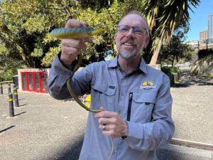 Accessories:Atlas of Living Australia