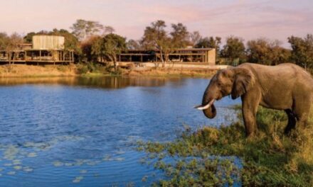 Adventure World Unveils New Quarterly Advisor Collection