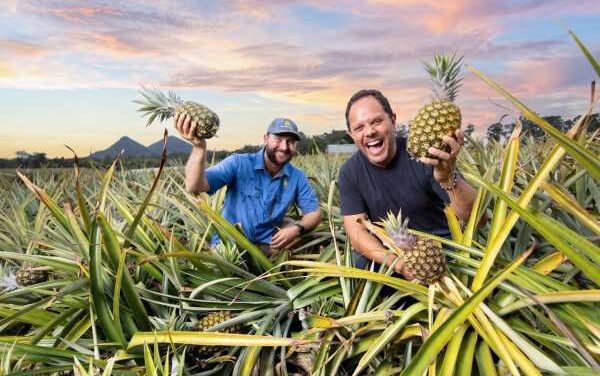 Alastair McLeod Showcases Moreton Bay’s Flavours