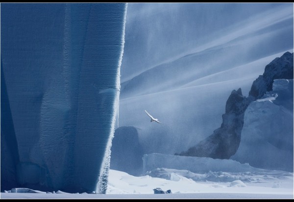 Antarctica2030 Urges Action on Southern Ocean Protection