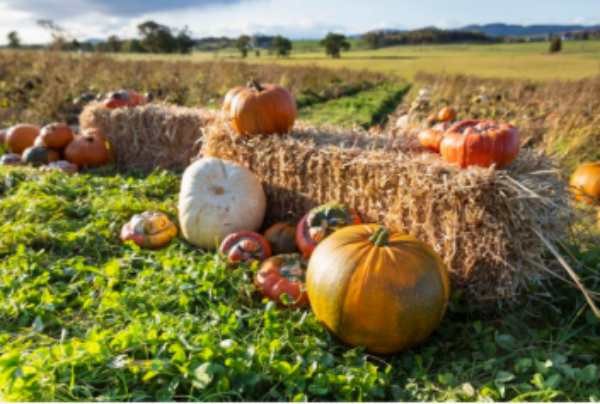 Autumn Frights Give Way to Winter Delights