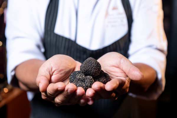 French Black Autumn Truffles Steal the Culinary Spotlight