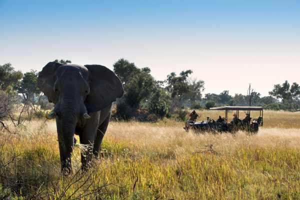 andBeyond Xaranna: Delta Luxury Woven Into Every Stay