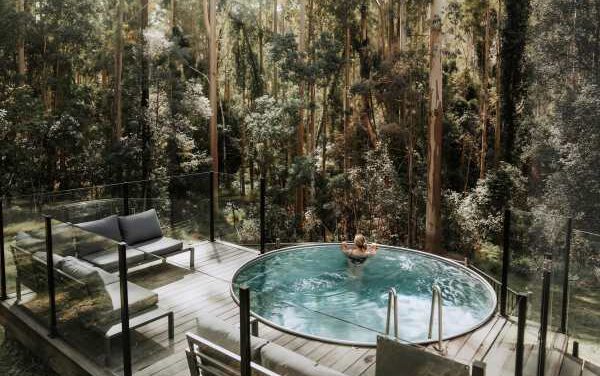 Carawirry Forest Escape: NSW’s Hidden Nature Haven