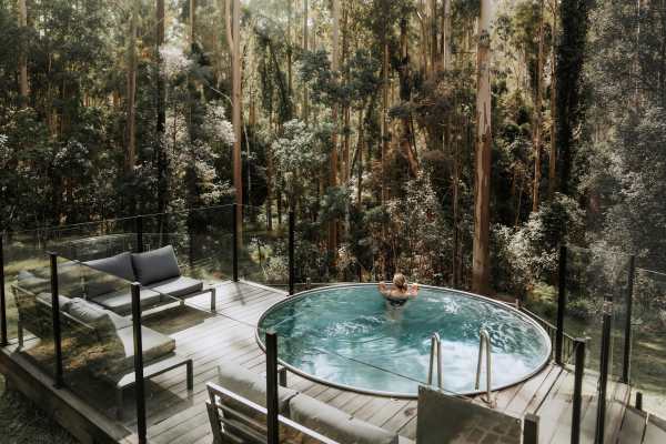 Carawirry Forest Escape: NSW’s Hidden Nature Haven