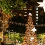 Sydney Sparkles with Festive Christmas Celebrations