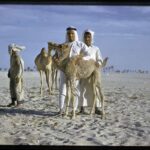 Zayed National Museum Unpacks 7,000 Years of Camel History