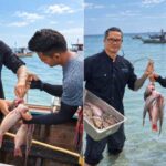 Iron Chef Challenger Cooks the Catch at OUTRIGGER Phi Phi