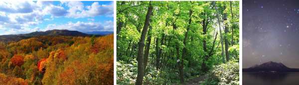 Hokkaido’s Four Seasons: Art, Nature & Pure Escape!