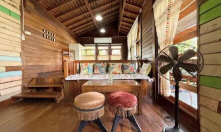 Thailand’s Silver Airbnb Hosts Surge 15% in One Year