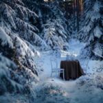 Finland Serves Singles a Dinner Date to Fall For!