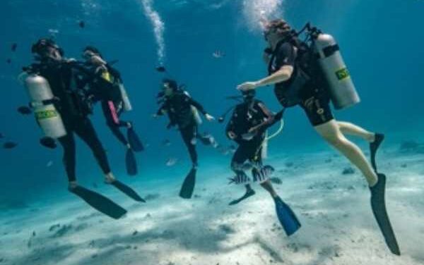 Tahiti Crowned Oceania’s Top Dive Destination Again