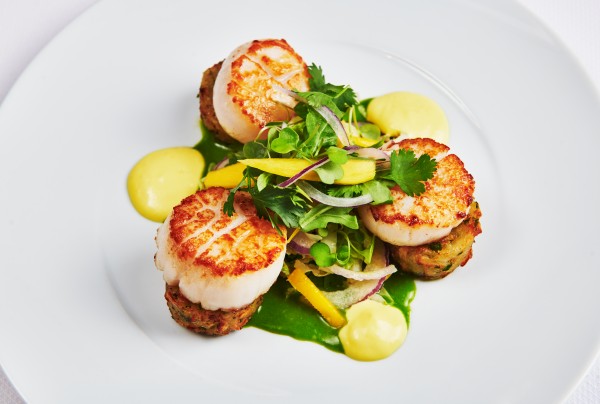 Pan-Sear-scallops-Jennifer-Jasinski-Amphora