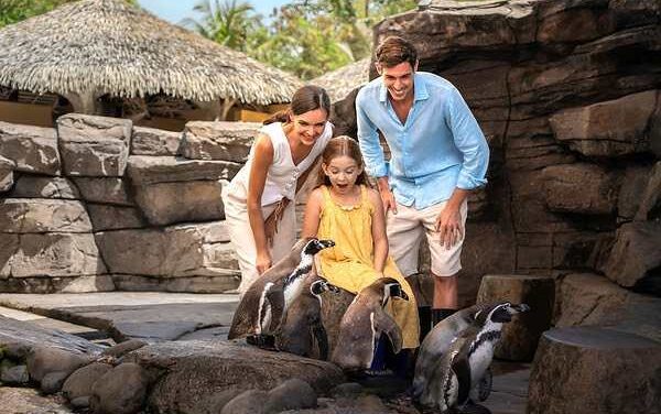Taman Safari Indonesia Unveils Wild Family Adventures
