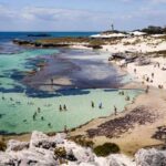 Pinnacle Travel Group Scoops Up Rottnest Island Favourites