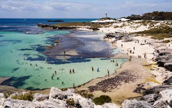 Pinnacle Travel Group Scoops Up Rottnest Island Favourites