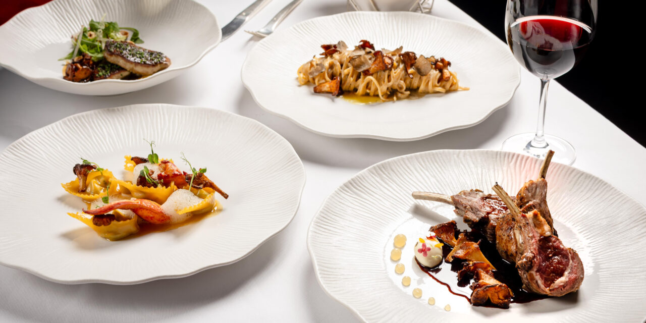 Chanterelles Steal the Spotlight at Red Sky This October