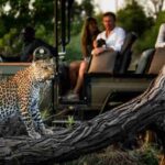 2027 Safari Deals: Three Questions Every Advisor Must Ask