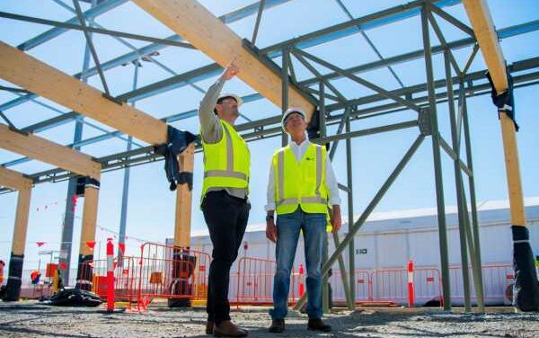 Sunshine Coast Airport’s Timber Terminal Takes Root