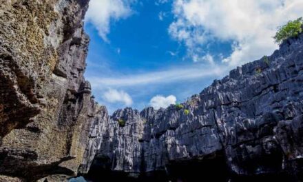 The Andaman Reopens: A Tropical Paradise Returns!