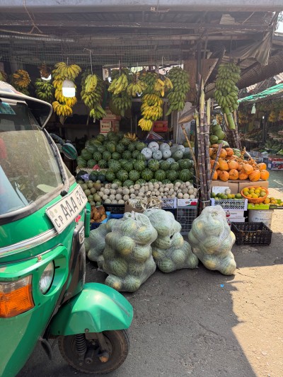 Tropical Fruit Stand- Sri Lanka -JessA
