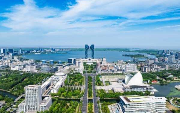 CIMX Puts Shanghai Lin-gang in the Global Spotlight